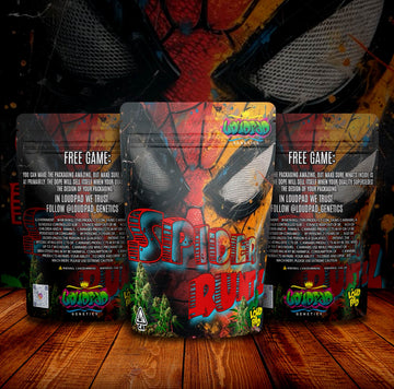 Spider